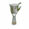 格鲁吉亚杯冠军